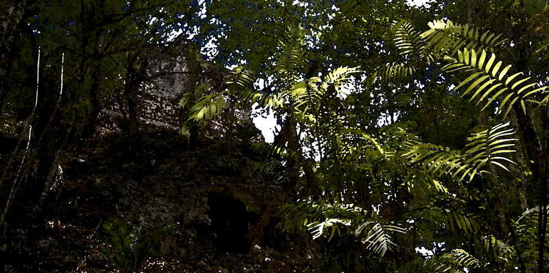 Looking through jungle trees at mayan ruins, Tikal, Guatamala.